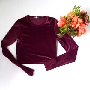Wilfred Velvet Crop Top